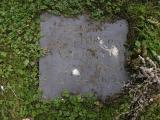 image of grave number 196128